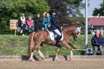 Bild 333 - Pony Akademie Turnier